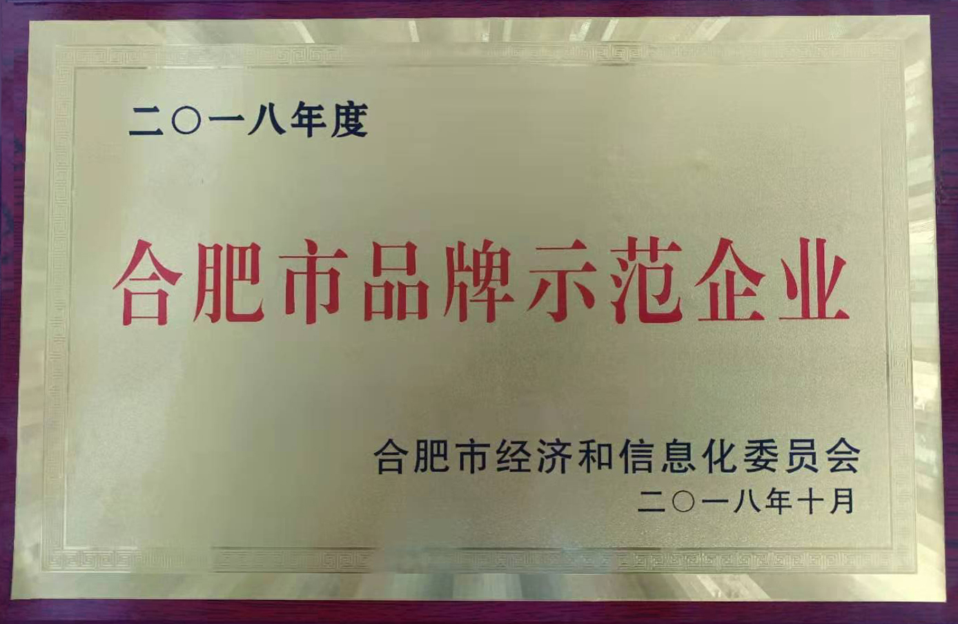 合肥市品牌示范企业